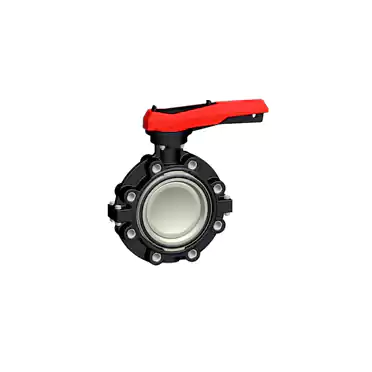 Butterfly valve  