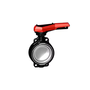 Butterfly valve 